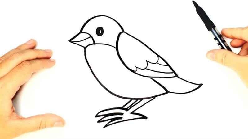 Рисунки птицы карандашом для детей (63 фото) #58