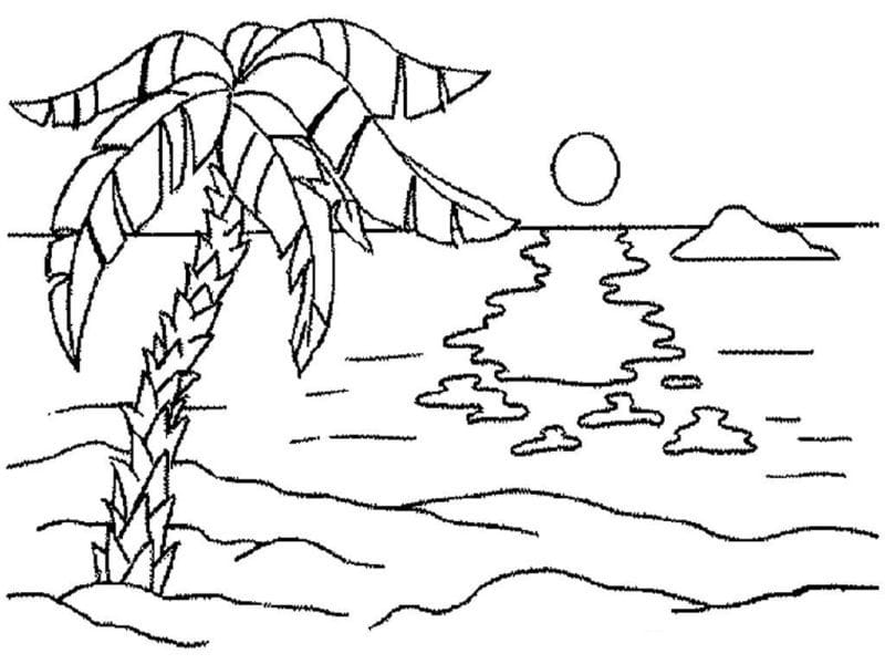 Рисунки карандашом пальма (30 фото) #47