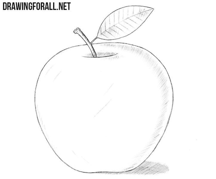 Рисунки карандашом для детей яблоки (48 фото) #72
