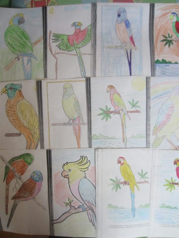Рисунки птицы карандашом для детей (63 фото) #66