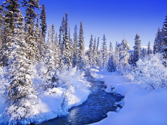 Картинки красивые фото зимы (35 фото) #9