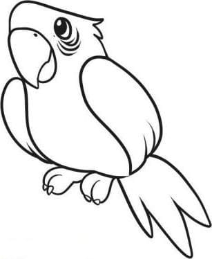 Рисунки для срисовки попугай (29 фото) #5