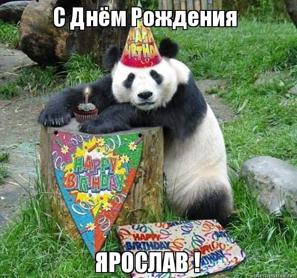 Смешные картинки поздравления С Днем Рождения Ярослав (20 фото) #5