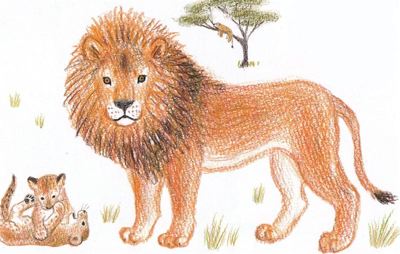 Рисунки карандашом для детей лев (30 фото) #39