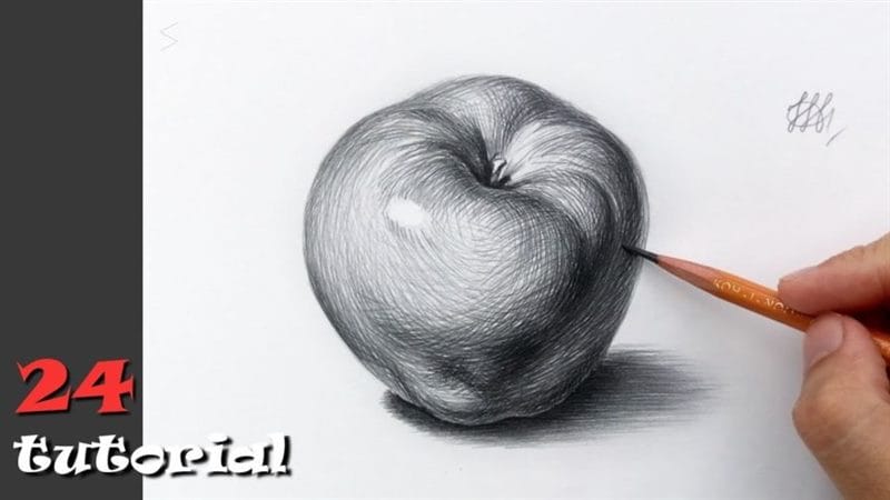 Рисунки карандашом для детей яблоки (48 фото) #79