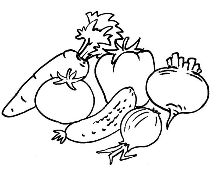 Рисунки овощи карандашом для детей (31 фото) #47