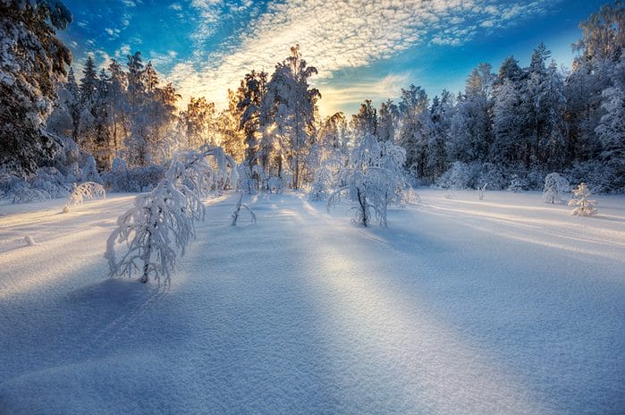 Картинки красивые фото зимы (35 фото) #10
