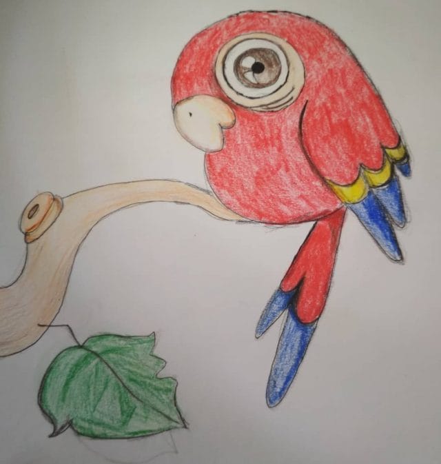 Рисунки для срисовки попугай (29 фото) #6