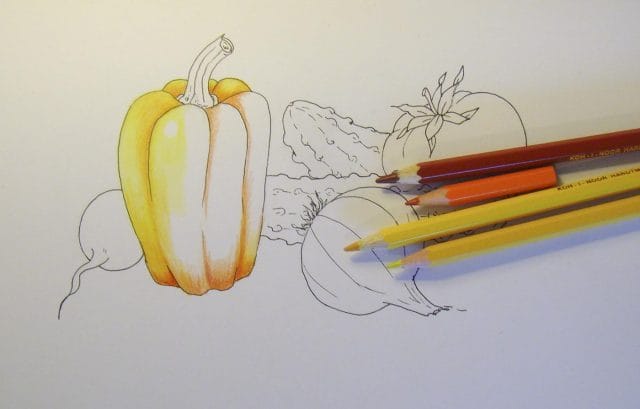 Рисунки овощи карандашом для детей (31 фото) #7