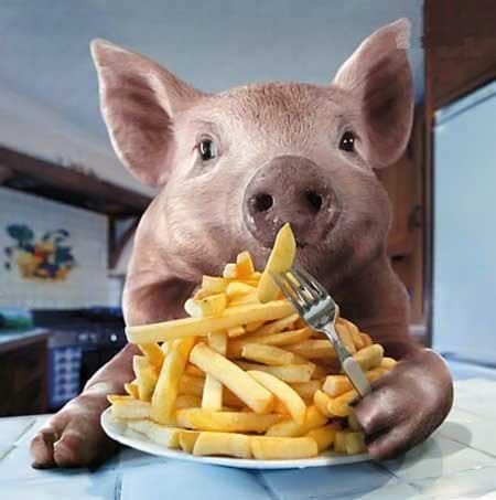 Смешные картинки про свиней (65 фото) #6