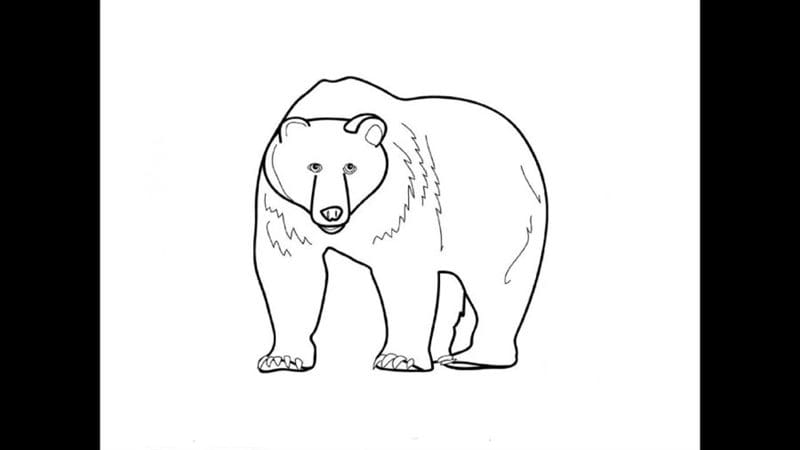 Рисунки медведя карандашом для детей (38 фото) #50