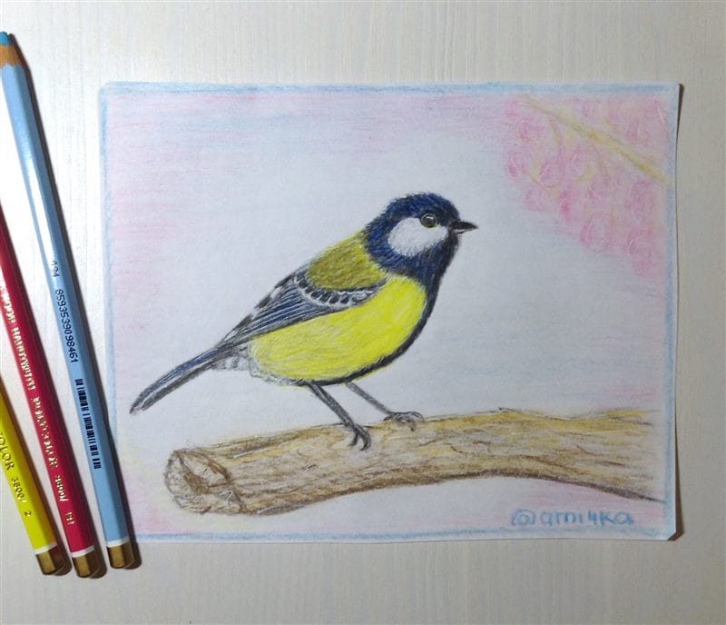 Рисунки птицы карандашом для детей (63 фото) #73