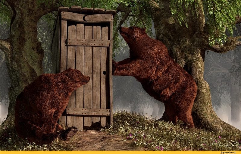 Смешные картинки с медведями (95 фото) #80