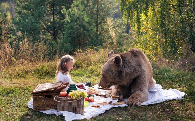 Смешные картинки с медведями (95 фото) #81