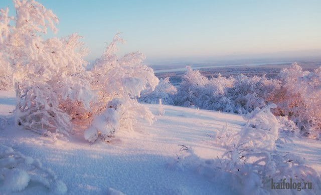 Картинки красивые фото зимы (35 фото) #12