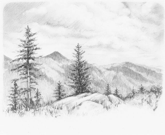 Рисунки для срисовки лес (15 фото) #8