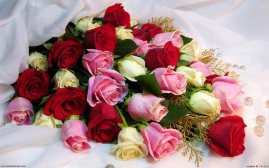 Самые красивые фото цветов и букетов роз (35 фото) #9