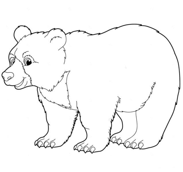 Рисунки медведя карандашом для детей (38 фото) #51