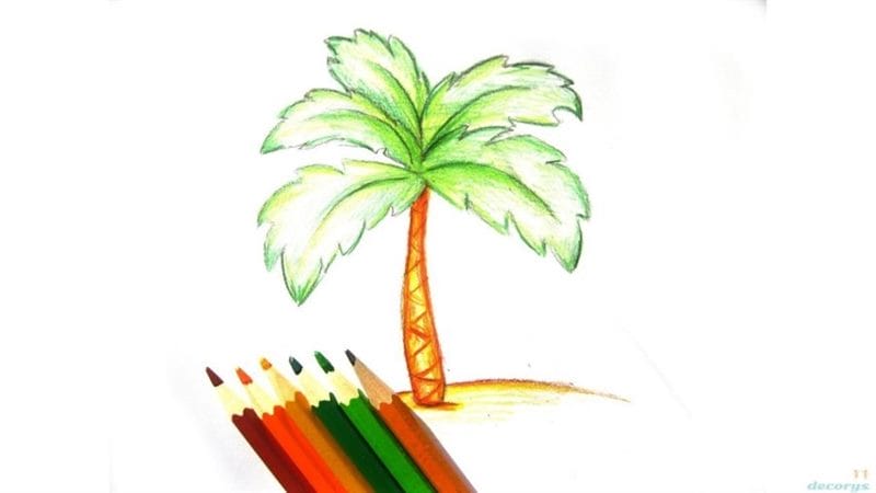 Рисунки карандашом пальма (30 фото) #56