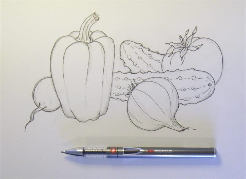 Рисунки овощи карандашом для детей (31 фото) #49