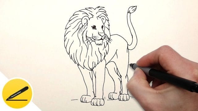 Рисунки карандашом для детей лев (30 фото) #8