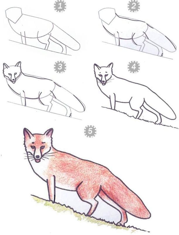 Рисунки карандашом для детей лиса (28 фото) #8
