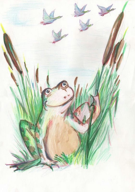 Рисунки лягушки для срисовки (40 фото) #9