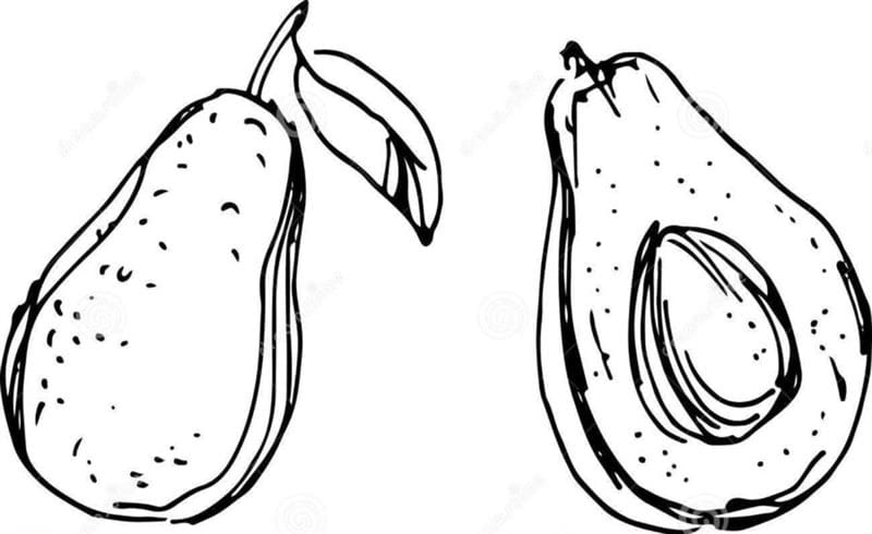 Рисунки карандашом мультяшный авокадо (17 фото) #29