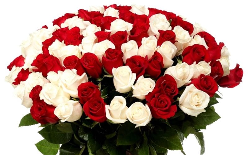 Самые красивые фото цветов и букетов роз (35 фото) #73
