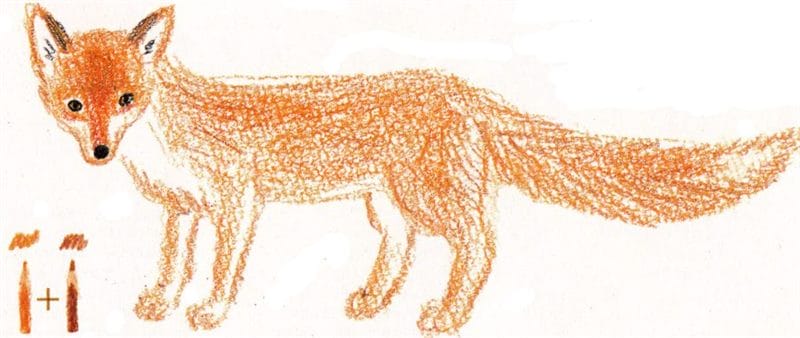 Рисунки карандашом для детей лиса (28 фото) #40