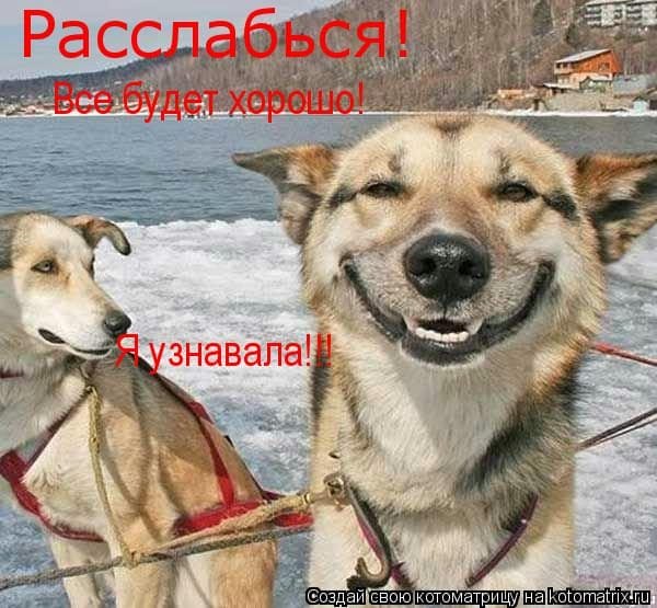 Картинки «Все будет хорошо! Я узнавала!» (25 фото) #13