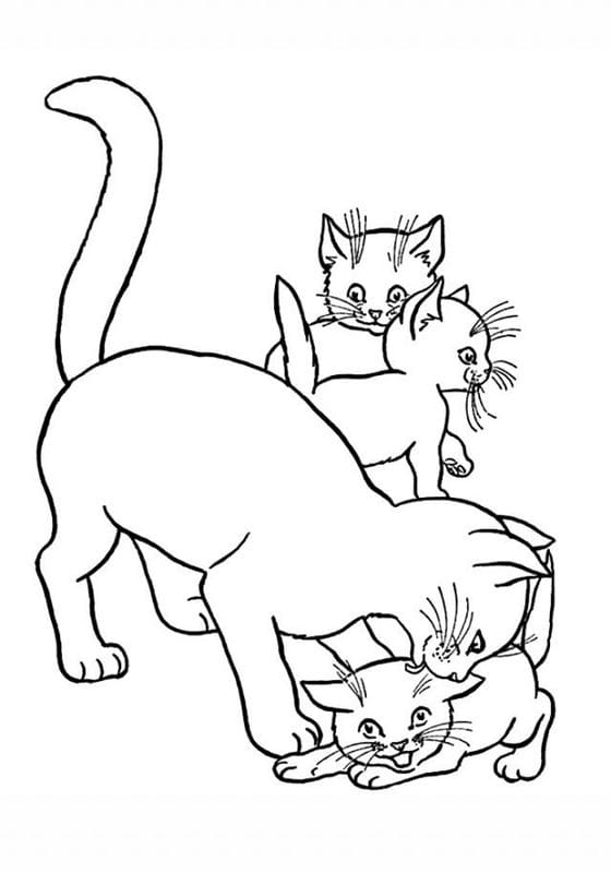Рисунки кошки карандашом для детей (33 фото) #10