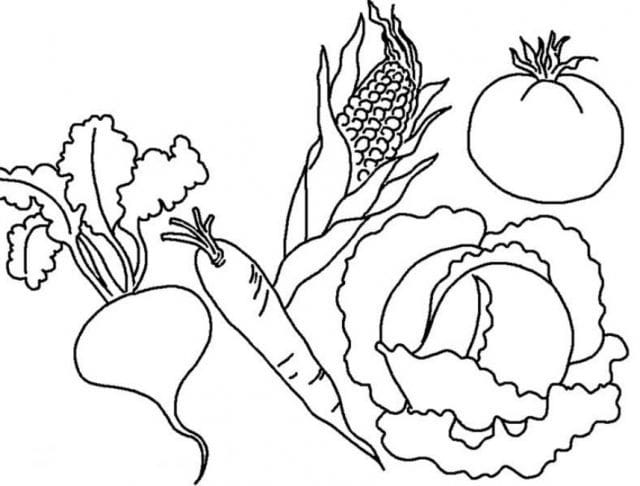 Рисунки овощи карандашом для детей (31 фото) #10
