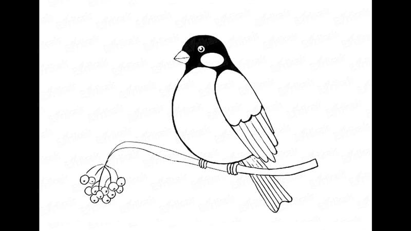 Рисунки птицы карандашом для детей (63 фото) #76