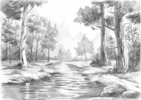 Рисунки для срисовки лес (15 фото) #11