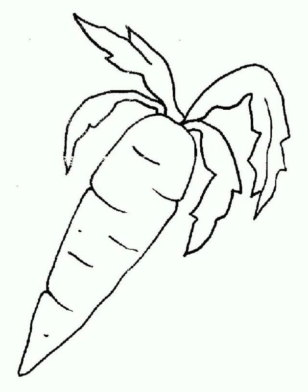 Рисунки овощи карандашом для детей (31 фото) #11
