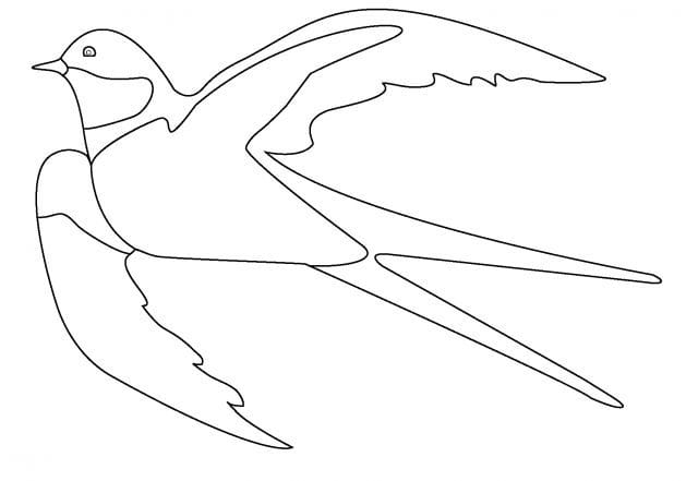 Рисунки птицы карандашом для детей (63 фото) #11