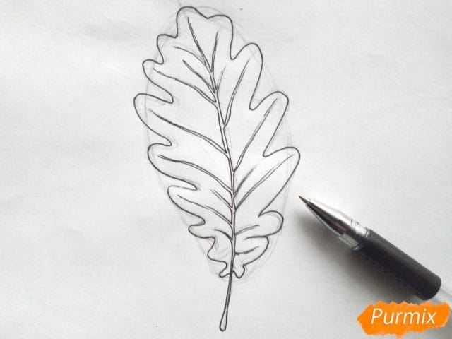 Рисунок карандашом дубовый лист (17 фото) #14
