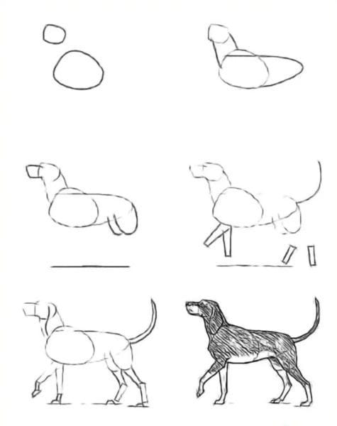 180 рисунков собаки карандашом и не только #1
