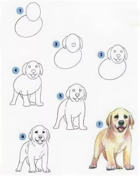 180 рисунков собаки карандашом и не только #16