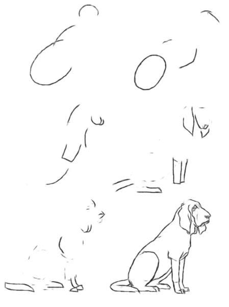 180 рисунков собаки карандашом и не только #127