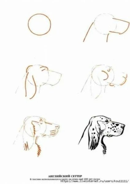 180 рисунков собаки карандашом и не только #122