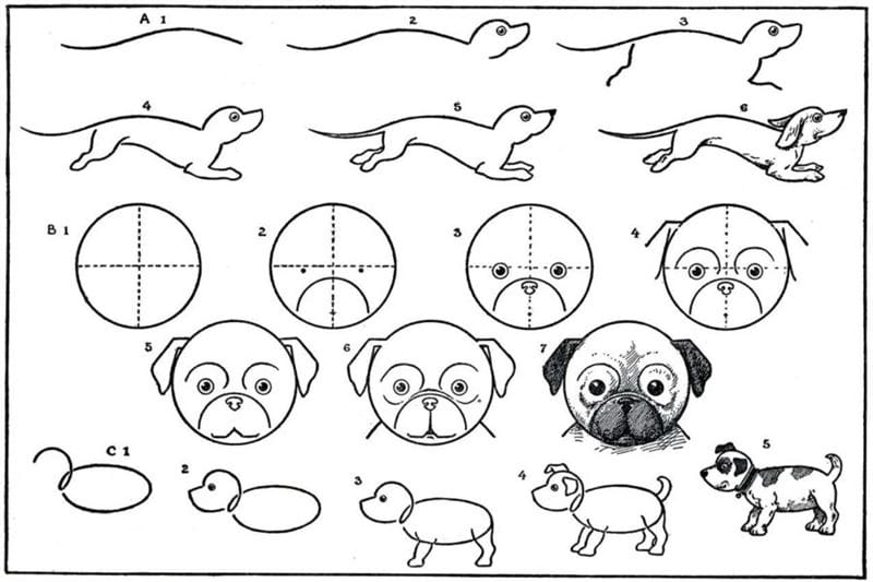 180 рисунков собаки карандашом и не только #120