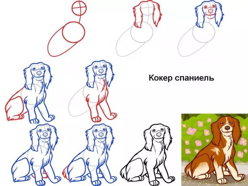 180 рисунков собаки карандашом и не только #15