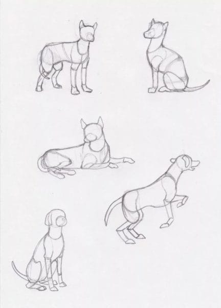 180 рисунков собаки карандашом и не только #116