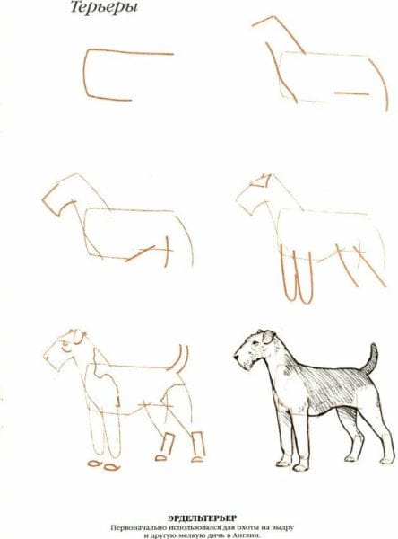180 рисунков собаки карандашом и не только #111
