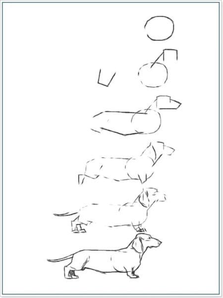 180 рисунков собаки карандашом и не только #110