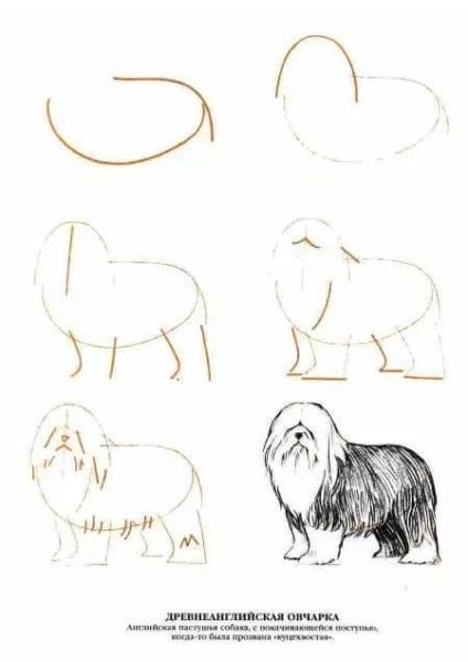 180 рисунков собаки карандашом и не только #107