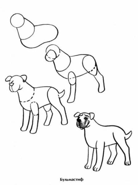 180 рисунков собаки карандашом и не только #100
