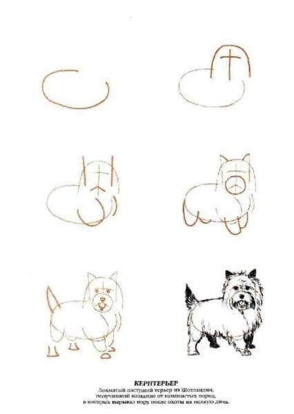 180 рисунков собаки карандашом и не только #93